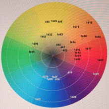 Load image into Gallery viewer, COLOR TINTING CHARTS

